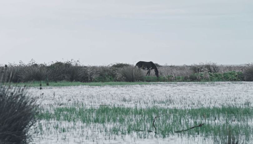La serie cuestiona nuestro sitio dentro de la naturaleza proponiendo modelos de futuro viables para territorios tan emblemáticos como vulnerables / LCATM.