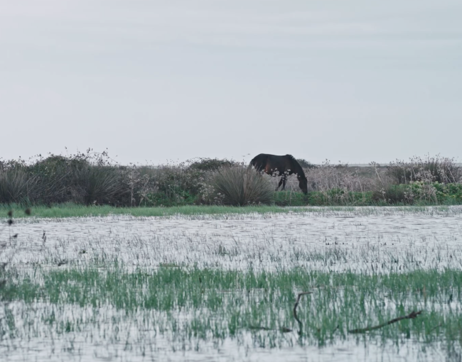 La serie cuestiona nuestro sitio dentro de la naturaleza proponiendo modelos de futuro viables para territorios tan emblemáticos como vulnerables / LCATM.