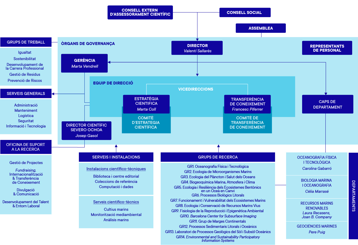 Organigrama ICM