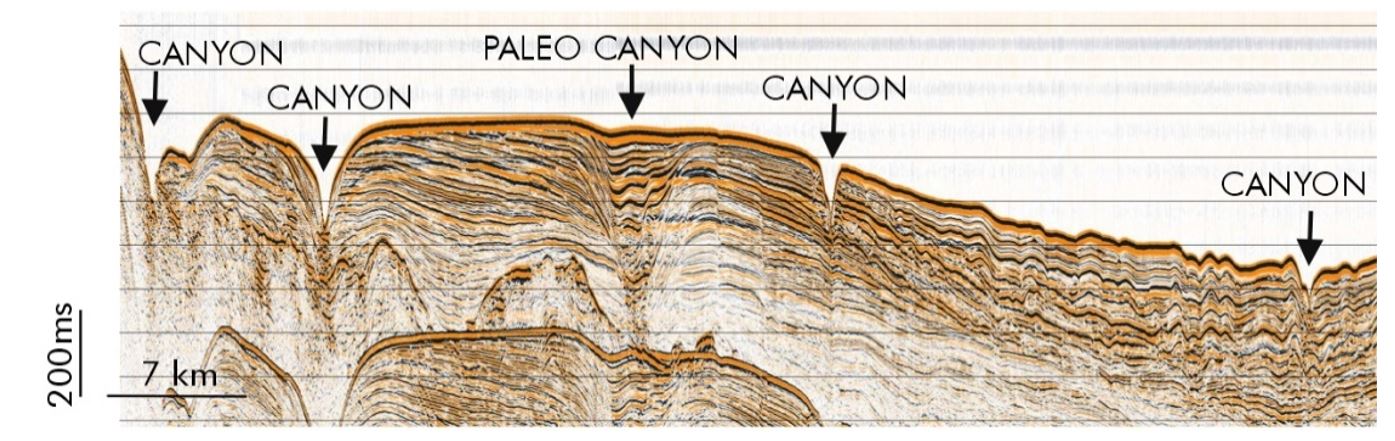 Perfil sísmico que muestra la arquitectura estratigráfica de un talud continental afectado por 4 cañones y un paleocañón (abandonado y rellenado por sedimentos) / Base de datos del grupo de Márgenes Continentales del ICM.