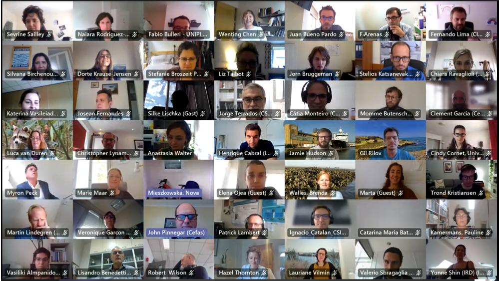 The first meeting between the partners was held last week virtually / FutureMARES