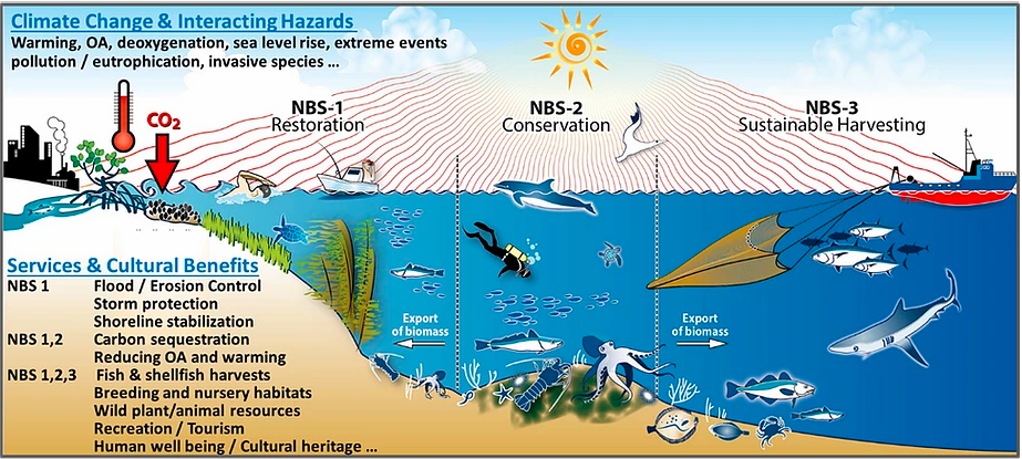 Ocean benefits are essential to keep a healthy planet / FutureMARES