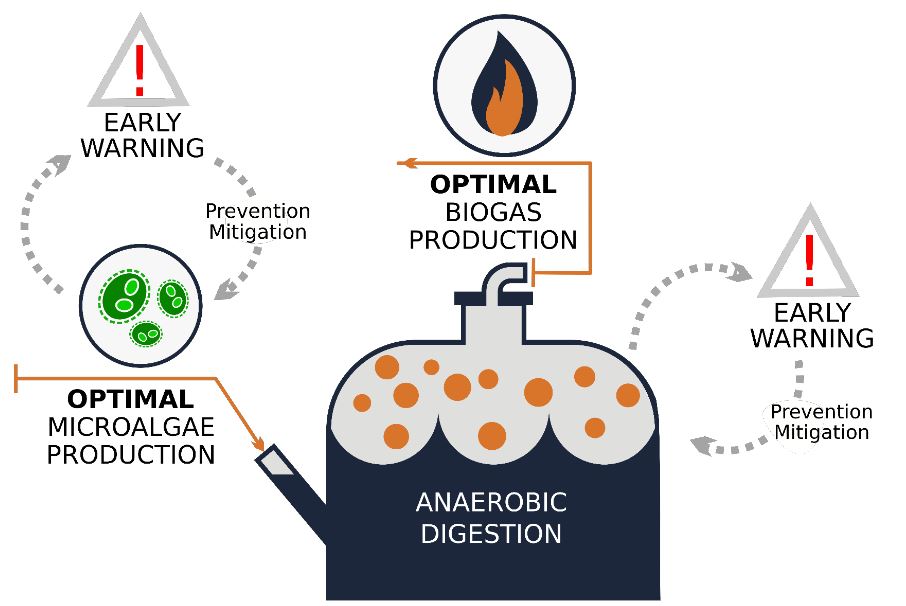 L' objectiu del projecte és accelerar la comercialització de les tecnologies de producció de biogàs a partir de microalgues / ICM-CSIC