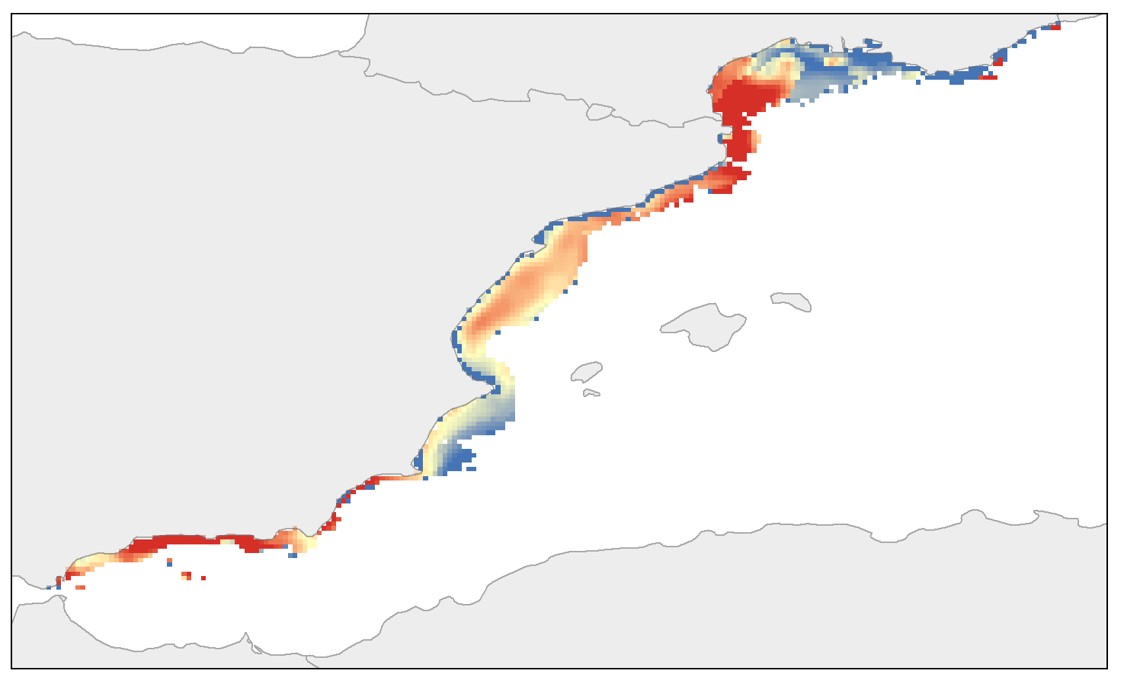 La sardina i el seitó són els peixos més comercialitzats i consumits al nord-oest del Mediterrani / ICM-CSIC