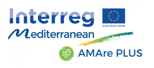 logo_AMAREPLUS