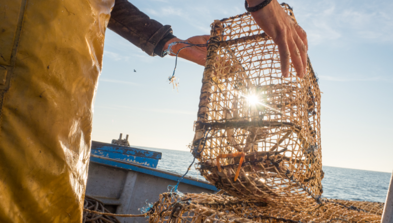 The report aims to improve knowledge of the main populations of the species of greatest commercial interest on the Catalan coast / Flor Benito