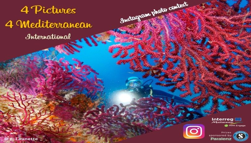 El concurso invita a enviar fotografías realizadas en cualquiera de las áreas marinas protegidas del Mediterráneo.