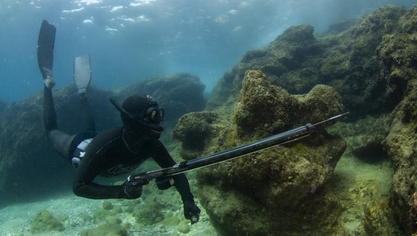 Recreational fishing is an important source of data for researchers / David Mandos Recreational fishing is an important source of data for researchers / David Mandos