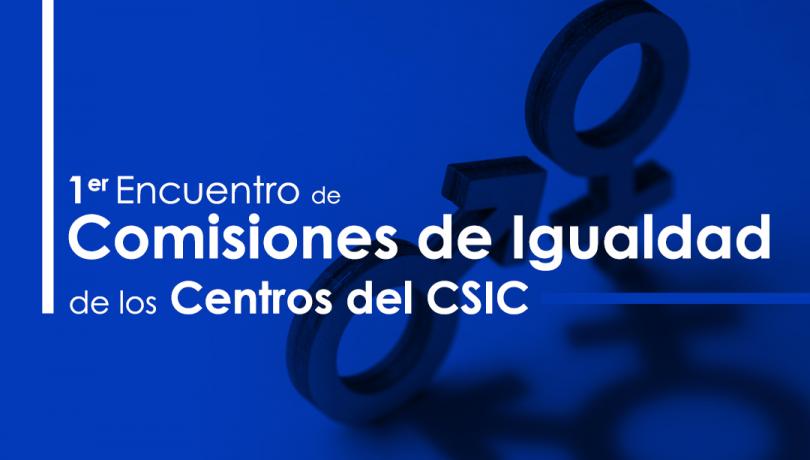1er Encuentro Comisiones Igualdad CSIC