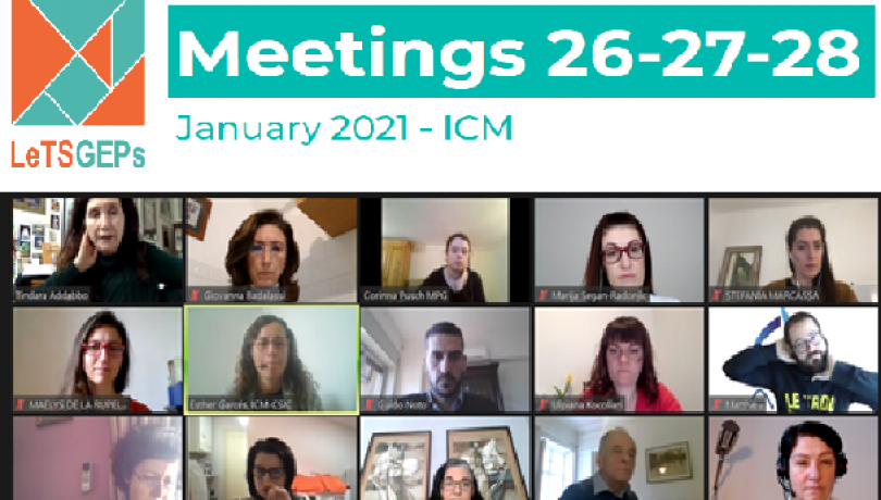 The meeting was held virtually from 26 to 28 January. The meeting was held virtually from 26 to 28 January.