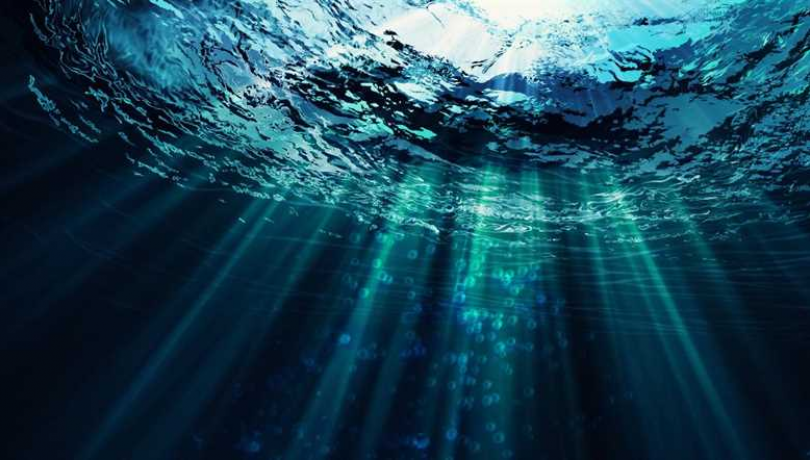 Sunlight plays a very important role in sustaining life in the ocean.