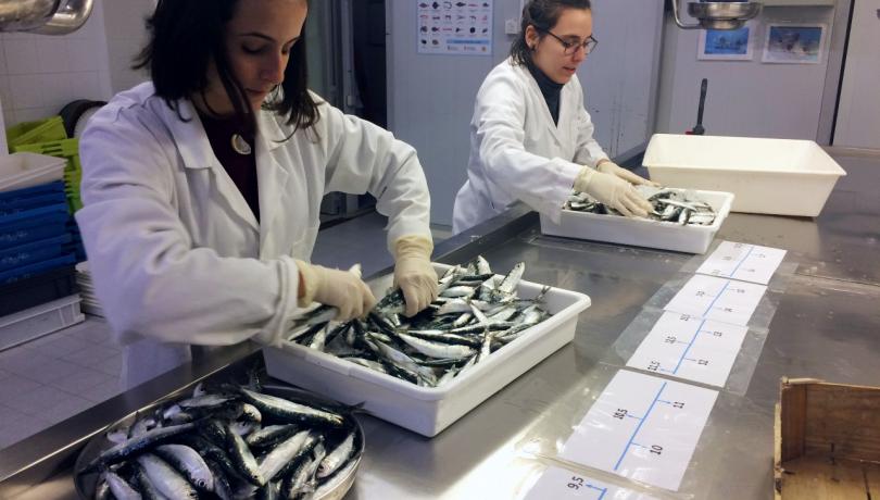 Renewable marine resources lab Renewable marine resources lab