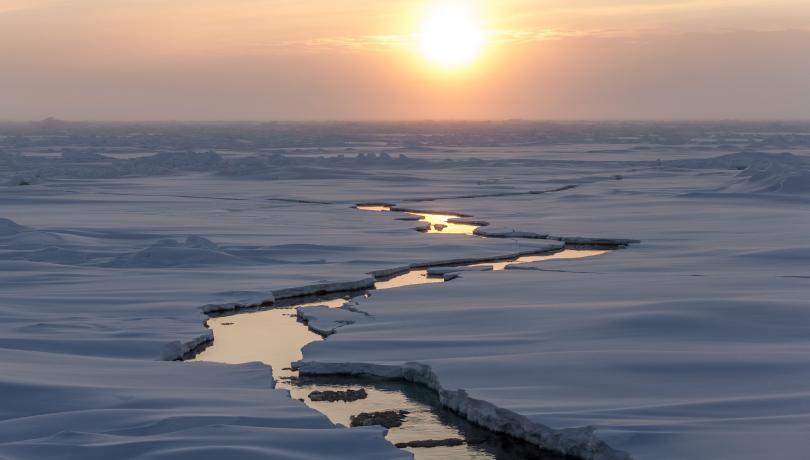 CRiceS will enhance climate models and improve how they represent polar ocean-atmosphere interactions / M Hoppmann (AWI)