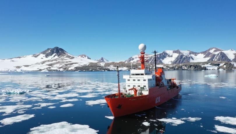 The data for the study were obtained during an Antarctic campaign in 2019 / ICM-CSIC