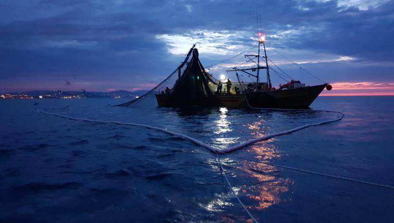 Alterations in collective behaviour caused by fishing may affect many species / Susana L. Díez González y José Palacios Alterations in collective behaviour caused by fishing may affect many species / Susana L. Díez González y José Palacios