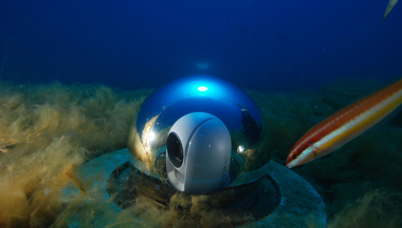 MINKE was granted last April and will run until March 2025 / OBSEA MINKE was granted last April and will run until March 2025 / OBSEA