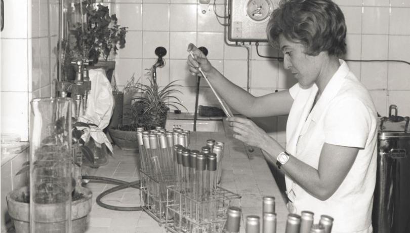 La pasión de Castellví por el estudio de las bacterias en ambientes extremos la llevó a interesarse por el continente blanco / ICM-CSIC.