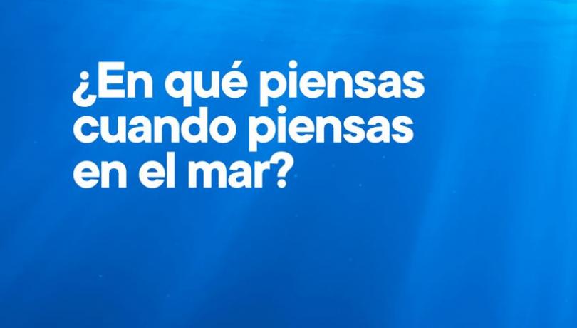 The survey aims to highlight Catalan citizens' concerns about the ocean and marine ecosystems / ICM-CSIC.