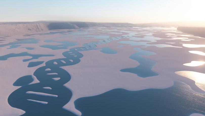 Marine microorganisms are the main drivers of global biogeochemical cycles / Original 3D artwork by SHOOK Studio. Copyright 2021 by SHOOK Studio. Posted with permission.