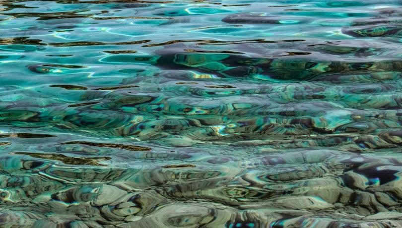 There was a decline in some microbial groups, in particular phytoplankton. There was a decline in some microbial groups, in particular phytoplankton.