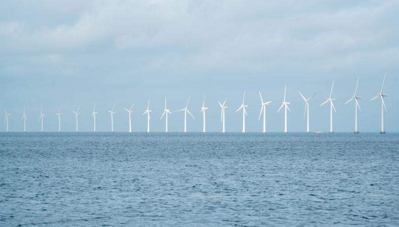 Los expertos aseguran que estas instalaciones pueden provocar "graves impactos" sobre la biodiversidad marina / Depositphotos