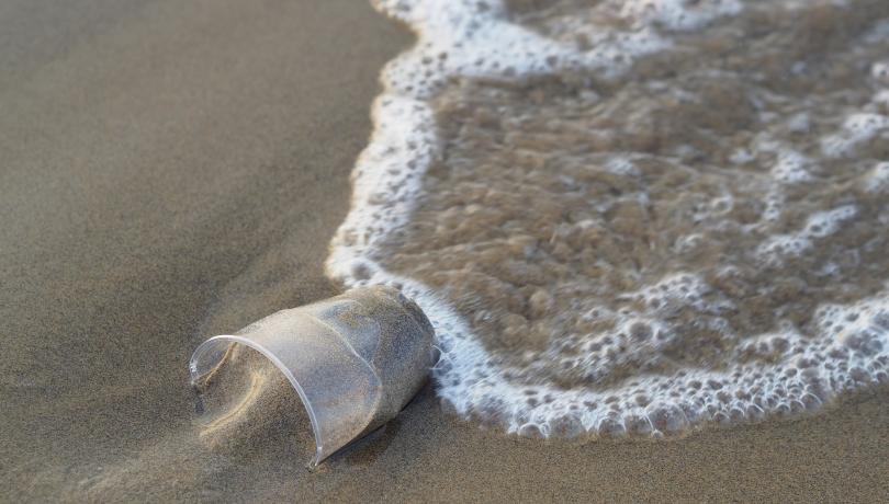 Que el plàstic sigui biodegradable no vol dir que es degradi en qualsevol condició / Pixabay. Que el plàstic sigui biodegradable no vol dir que es degradi en qualsevol condició / Pixabay.