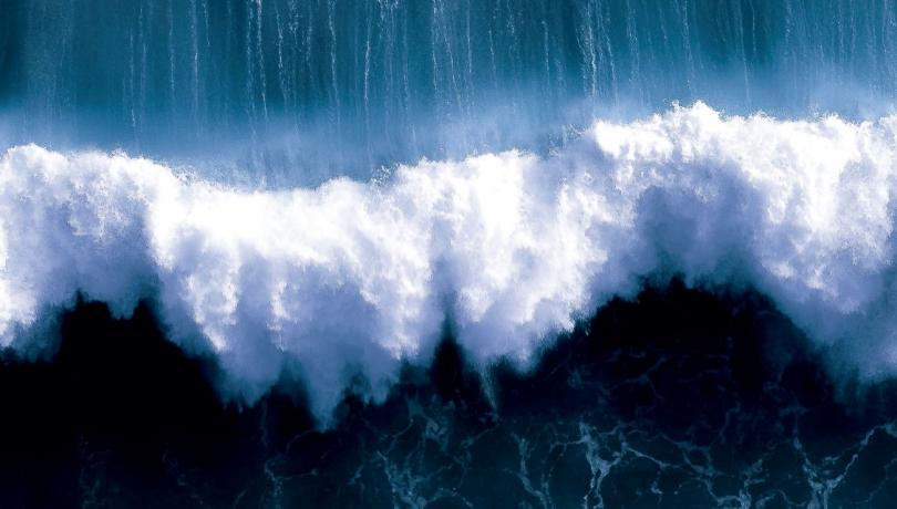 83 specialists in marine sciences and technologies have participated in the book / Eduardo Drapier 83 specialists in marine sciences and technologies have participated in the book / Eduardo Drapier