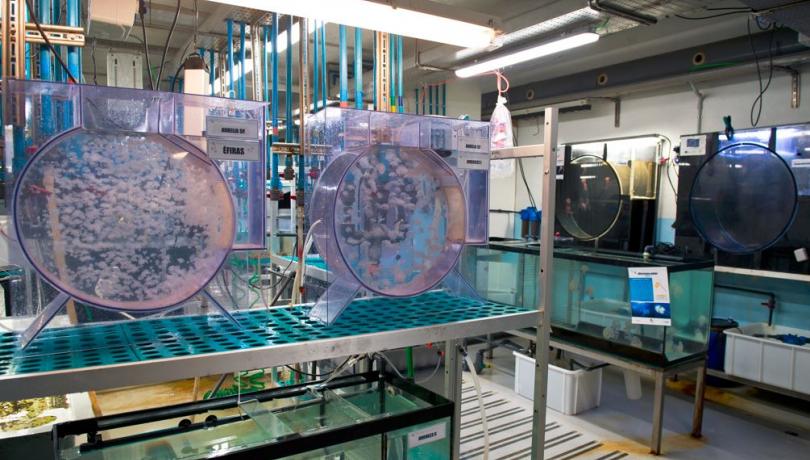 For the equipment selection their scientific relevance and added value have been taken into account / ICM-CSIC.