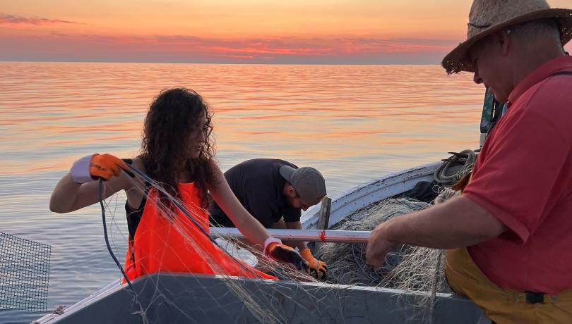 Las artes de pesca abandonadas en el fondo del mar suponen una amenaza para las especies bentónicas / ICM-CSIC. Las artes de pesca abandonadas en el fondo del mar suponen una amenaza para las especies bentónicas / ICM-CSIC.