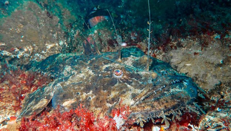 Study shows different species responses to warming / Vsevolod Rudyi.