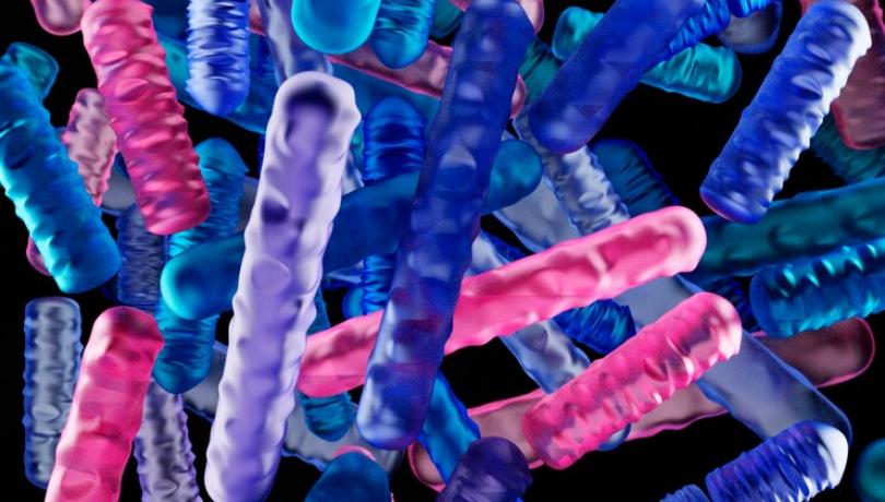 L'aïllament de microorganismes és una eina molt valuosa per comprovar hipòtesis ecològiques i comprendre el paper de bacteris clau a l'oceà / Freepik.