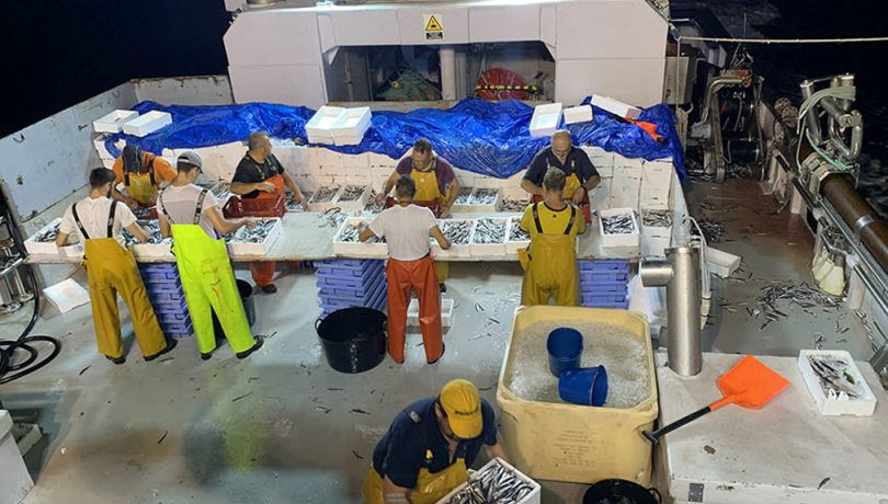 El treball aplica la metodologia “doughnut” a la pesca de cèrcol a la Mediterrània. L'anàlisi, que rep el seu nom per la seva estructura de dos anells concèntrics, facilitaria la transició econòmica sense superar els límits ambientals i assegurant alhora un nivell mínim de benestar social per a tothom. Pesca de cèrcol
