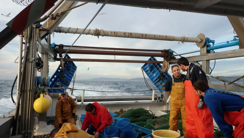 Entre los objetivos de ICATMAR está el de mejorar la gestión de los recursos pesqueros / UN Ocean Decade.