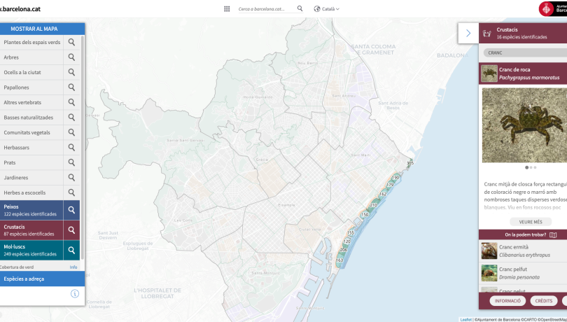 La publicació de les noves categories de crustacis i mol·luscs posa de manifest que el litoral barceloní conté una gran riquesa de biodiversitat, malgrat la pressió antròpica / Ajuntament de Barcelona. La publicació de les noves categories de crustacis i mol·luscs posa de manifest que el litoral barceloní conté una gran riquesa de biodiversitat, malgrat la pressió antròpica / Ajuntament de Barcelona.