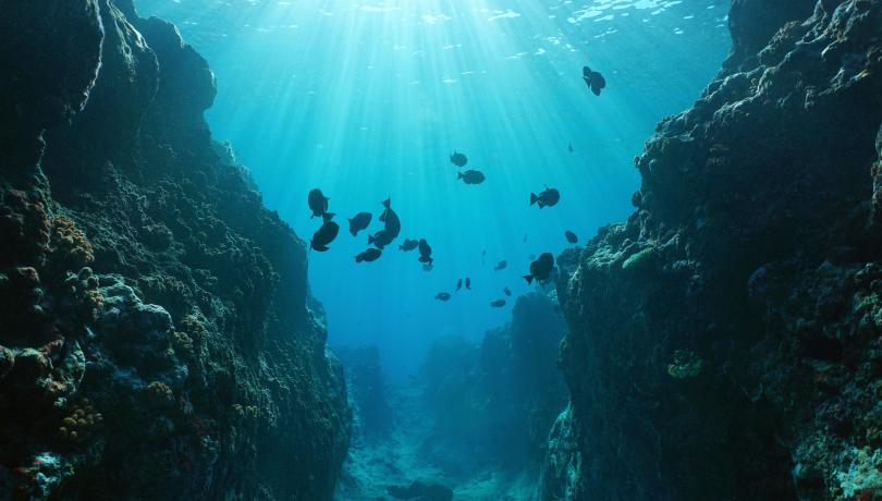 La planificació marítima pot esdevenir una pedra angular de l’acció climàtica global basada en l’oceà / iStock. La planificació marítima pot esdevenir una pedra angular de l’acció climàtica global basada en l’oceà / iStock.