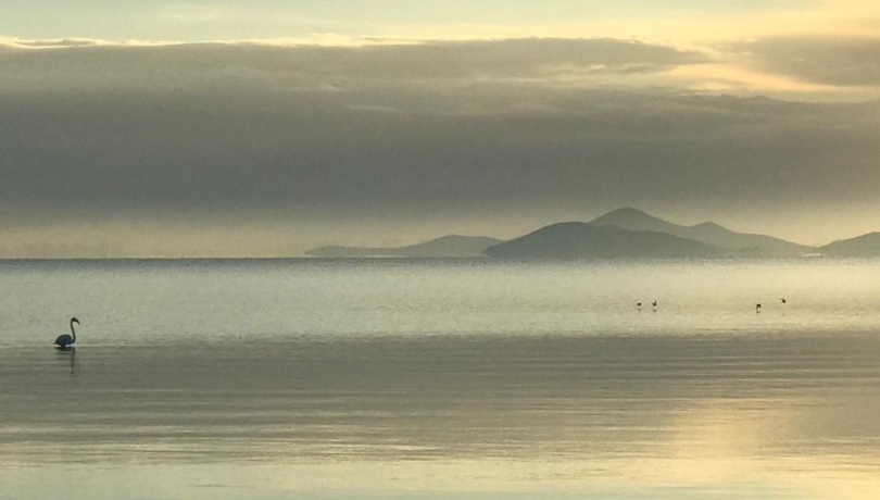 Upon reaching the coastal zone, conditions become optimal for the formation of methylmercury, the most toxic form of this metal / ICM-CSIC.