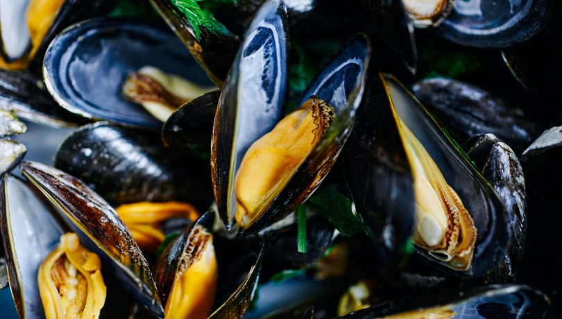 El estudio analiza el impacto climático, en términos de gases de efecto invernadero, de las principales presentaciones comerciales del mejillón © Pexels