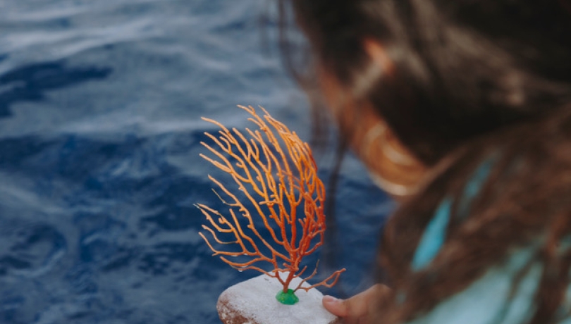 The project incorporates state-of-the-art technology for monitoring and optimising protocols to ensure the long-term viability of restorations / CABALGA II.