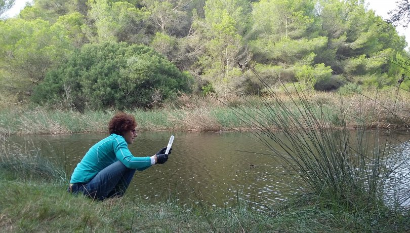 Toma de muestras en un lago boreal. En la imgen, Andrea G.Bravo. / Imagen: Andrea Bravo - ICM-CSIC
