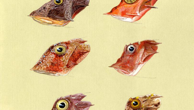 The Institute of Marine Sciences wishes you Happy New Year!