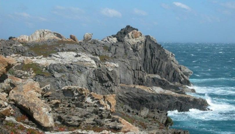 Un projecte europeu dissenyarà plans d’adaptació al canvi climàtic per a 7 àrees marines protegides, entre elles el Cap de Creus Un projecte europeu dissenyarà plans d’adaptació al canvi climàtic per a 7 àrees marines protegides, entre elles el Cap de Creus