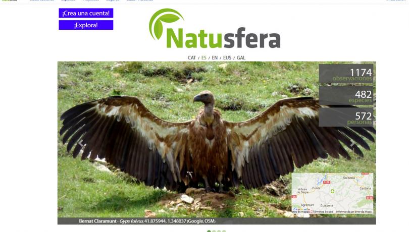 Neix Natusfera, una plataforma virtual que connectarà els amants de la natura de tot Europa.