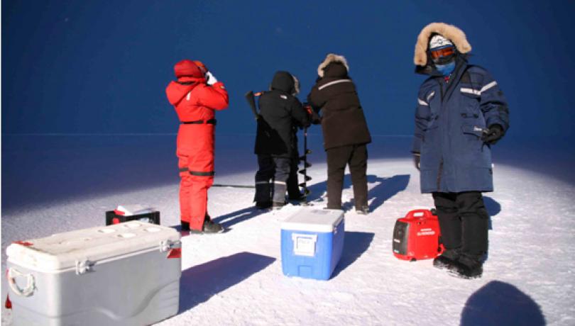 Bacterias del océano polar ártico expresan una proteína fotoactiva incluso cuando no hay luz