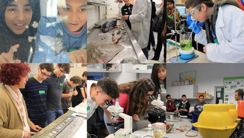 Éxito de participación durante las puertas abiertas al ICM en ocasión de la 19a Semana de la Ciencia