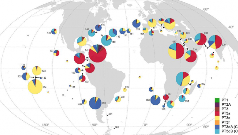 La distribución global de las cianobacterias más camaleónicas