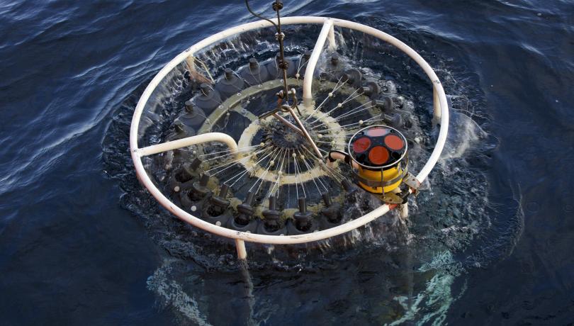Desvetllen les estratègies de vida dels virus de l’oceà profund