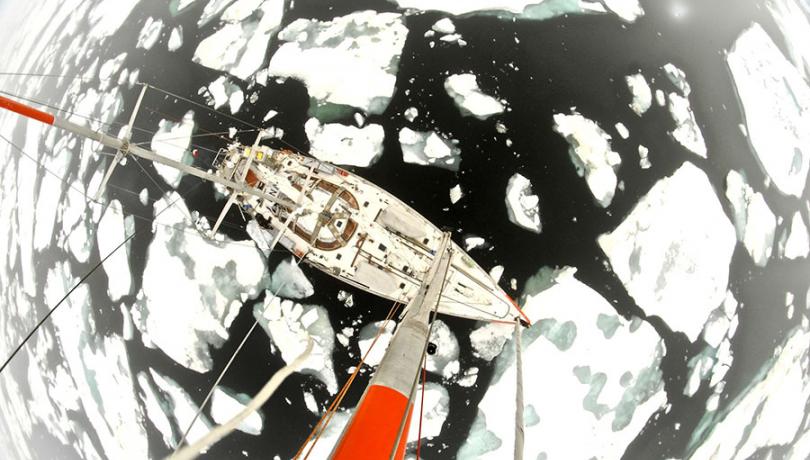 El catàleg global del plàncton marí de Tara Oceans arriba als pols