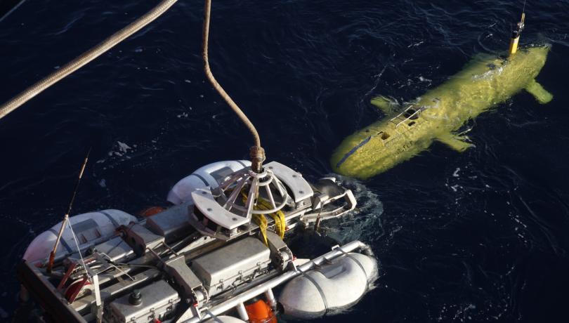 Seismic crisis reveals the growth of a young fault system in the Alboran Sea