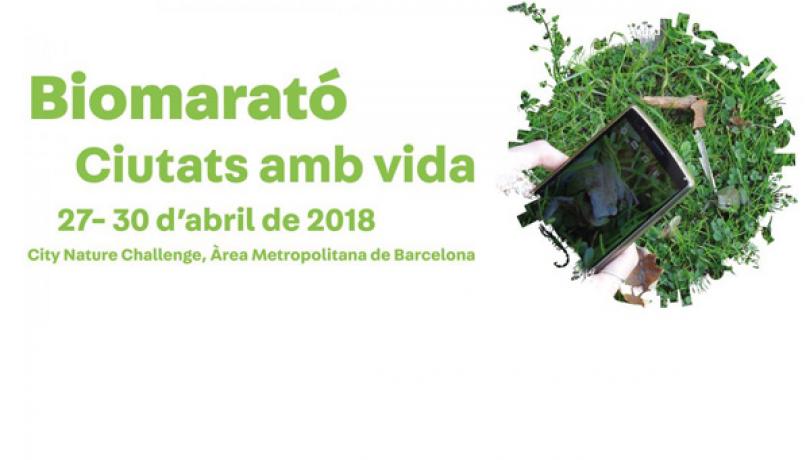 Barcelona participará con 70 ciudades del mundo en una maratón de biodiversidad