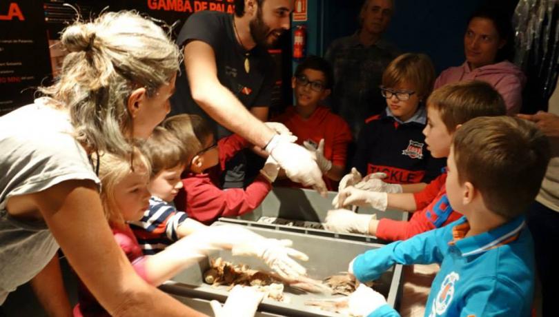 FEM CIÈNCIA, taller sobre la pesca, una colaboración entre el ICM y el Museo de la Pesca de Palamós
